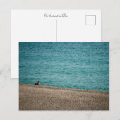 Op het strand bij Beer Briefkaart (Voorkant / Achterkant)