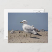 Op het strand briefkaart (Voorkant / Achterkant)