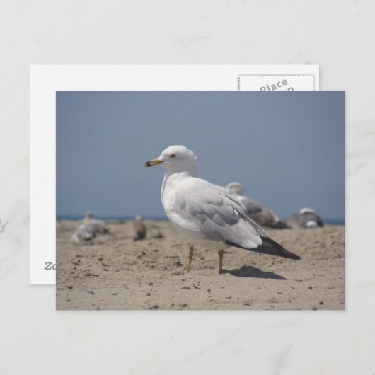 Op het strand briefkaart (Voorkant / Achterkant)