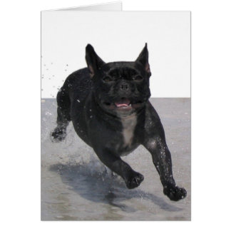 Op het strand, Parijs Merille