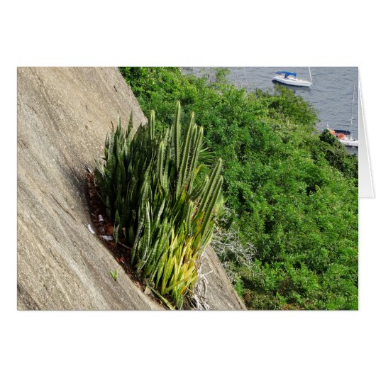 Op het suikerblad (Voorkant Horizontaal)