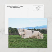 Op het terrein briefkaart (Voorkant / Achterkant)