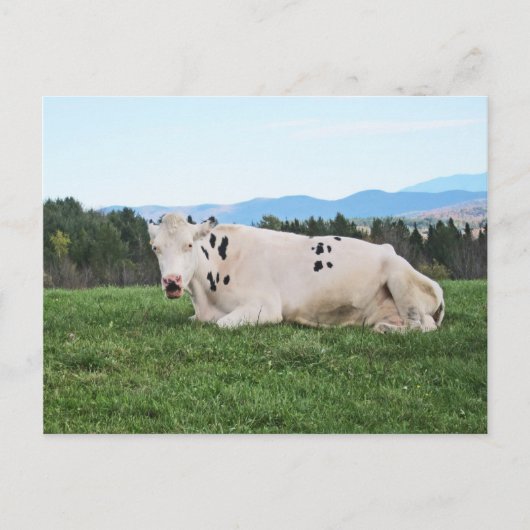 Op het terrein briefkaart (Voorkant)
