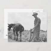 Op het werk in de Katoen Briefkaart (Voorkant / Achterkant)