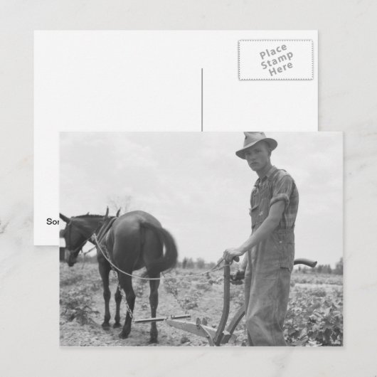 Op het werk in de Katoen Briefkaart (Voorkant / Achterkant)