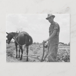 Op het werk in de Katoen Briefkaart