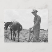 Op het werk in de Katoen Briefkaart (Voorkant)