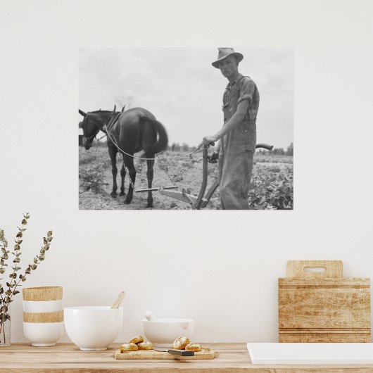 Op het werk in de katoen poster (Keuken)