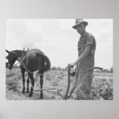 Op het werk in de katoen poster (Voorkant)