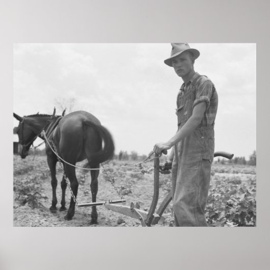 Op het werk in de katoen poster (Voorkant)