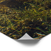 Op het Zee van Galilea Poster (Hoek)