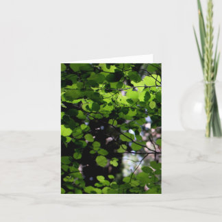 Op in de Kaart van de Nota van Bomen