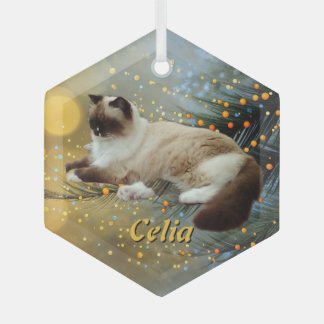 Op maat gemaakt glazen kerstboomhuisdierornament glas ornament