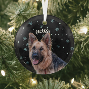 Op maat gemaakt huisdier foto ornament - Persoonli