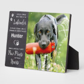 Op maat gemaakt huisdier hond Labrador Retriever h Fotoplaat (Zijkant)