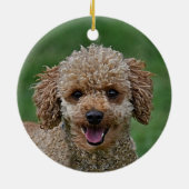 Op maat gemaakte abrikozenkleurige Poodle-hondsfot Keramisch Ornament (Achterkant)