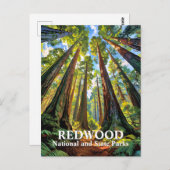 Op maat gemaakte bomen van Redwood National Park S Briefkaart (Voorkant / Achterkant)