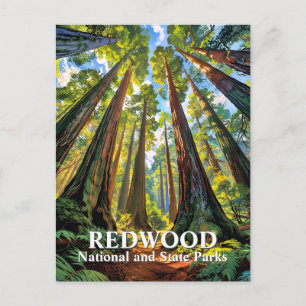 Op maat gemaakte bomen van Redwood National Park S Briefkaart