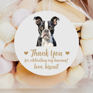 Op maat gemaakte Boston Terrier-huwelijksverpakkin Ronde Sticker