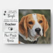 Op maat gemaakte foto Beagle-herdenking Fotoplaat (voorkant)