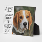 Op maat gemaakte foto Beagle-herdenking Fotoplaat (Zijkant)