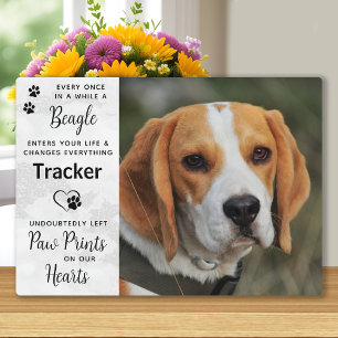 Op maat gemaakte foto Beagle-herdenking Fotoplaat