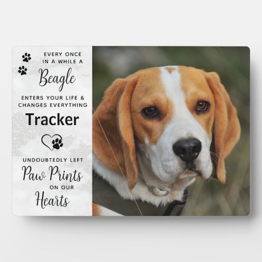 Op maat gemaakte foto-herdenking Beagle Fotoplaat (voorkant)