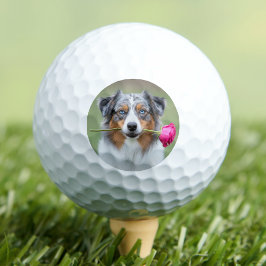 Op maat gemaakte foto van huisdierhond golfballen