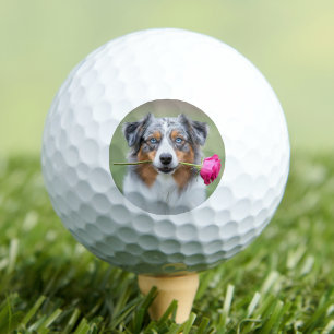 Op maat gemaakte foto van huisdierhond golfballen