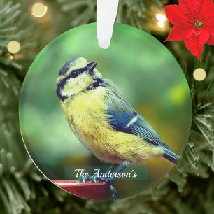 Op maat gemaakte geelborstige vogel foto gepersona ornament