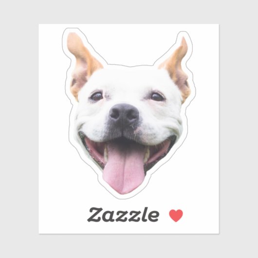 Op maat gemaakte gezicht sticker, gepersonaliseerd sticker (Vel)