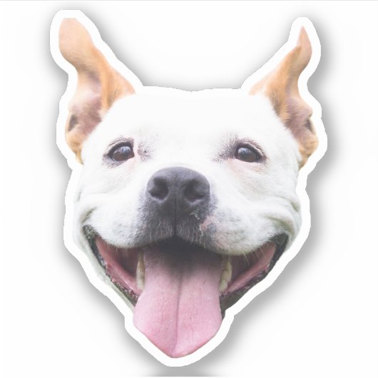 Op maat gemaakte gezicht sticker, gepersonaliseerd sticker (Voorkant)