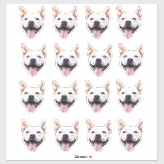 Op maat gemaakte gezicht sticker, gepersonaliseerd sticker (Vel)