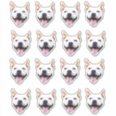 Op maat gemaakte gezicht sticker, gepersonaliseerd sticker (Voorkant)