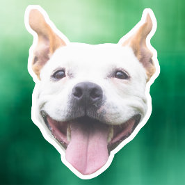 Op maat gemaakte gezicht sticker, gepersonaliseerd sticker