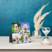 Op maat gemaakte hondenfoto met gepersonaliseerd m fotoplaat (Insitu)