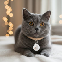 Op maat gemaakte hondenpenning “Ik ben verloren, b