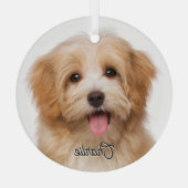 Op maat gemaakte huisdier foto en naam kerstvakant glas ornament (Achterkant)