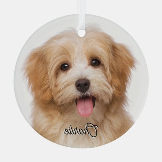 Op maat gemaakte huisdier foto en naam kerstvakant glas ornament (Achterkant)
