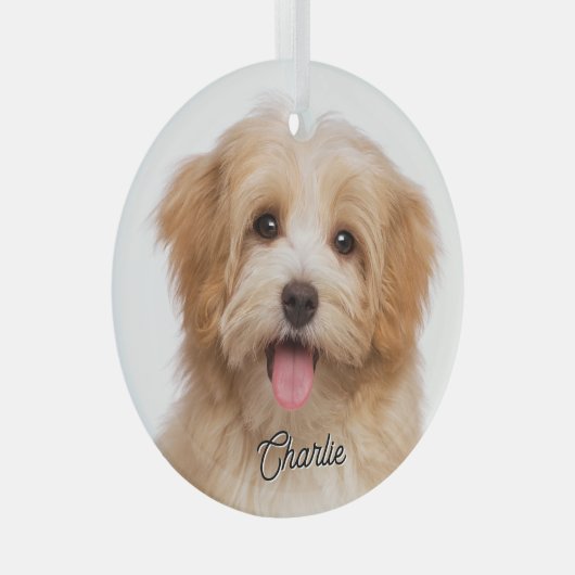 Op maat gemaakte huisdier foto en naam kerstvakant glas ornament (Voorkant Rechts)