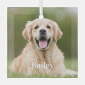 Op maat gemaakte huisdier foto modern eenvoudig ho glas ornament (Voorkant)