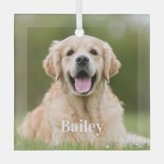 Op maat gemaakte huisdier foto modern eenvoudig ho glas ornament (Voorkant)