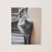 Op maat gemaakte huisdier katje kat Fun Legpuzzel (Verticaal)