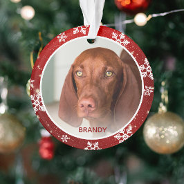 Op maat gemaakte huisdierfoto & naam Festive Kerst Ornament