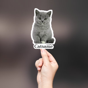 Op maat gemaakte huisdiersticker, uitgesneden wate sticker