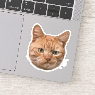 Op maat gemaakte huisdierstickers Hond Kat Foto De Sticker