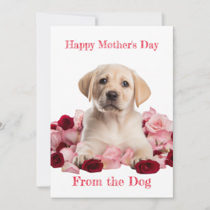 Op maat gemaakte Labrador-puppy met rozen Moederda Feestdagenkaart