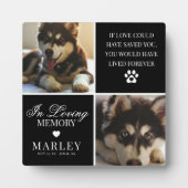 Op maat gemaakte moderne herdenkingsplaquette voor fotoplaat (Voorkant)