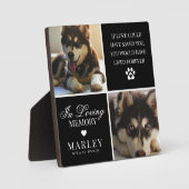 Op maat gemaakte moderne herdenkingsplaquette voor fotoplaat (Voorkant)