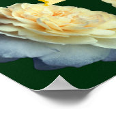 Op maat gemaakte monogram initiaal naam gele rozen poster (Hoek)